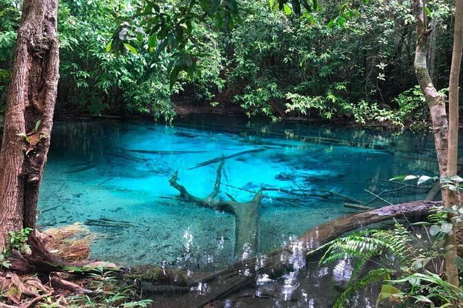 Emerald Pool: Jungle Tour, Private Full Day with Lunch - Transportation and Timing: Comfort and Punctuality Matter