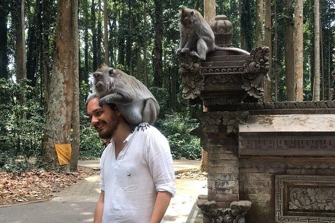 Enchanting Bali Tour with the Best Driver | All Included - Authentic Experiences and Local Insights