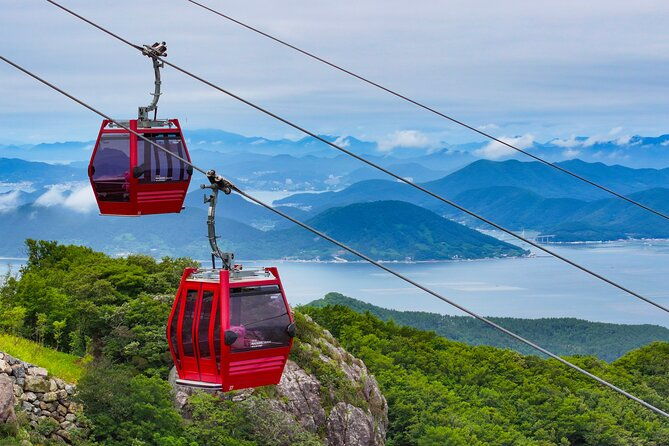 Enchanting Oedo Island Day Tour from Busan with Windy Hill - Who Would Love This Tour?  