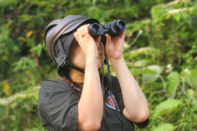 Endangered Monkeys Watching - Red Shanked Douc Langurs - Why This Tour Stands Out