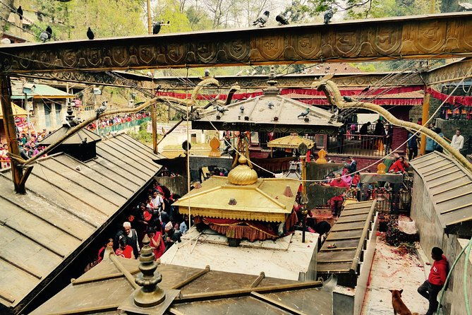 Escorted Full Day Pharping, Dakshinkali and Kirtipur Day Trip with Newari Lunch - An Authentic Journey through Kathmandu Valley