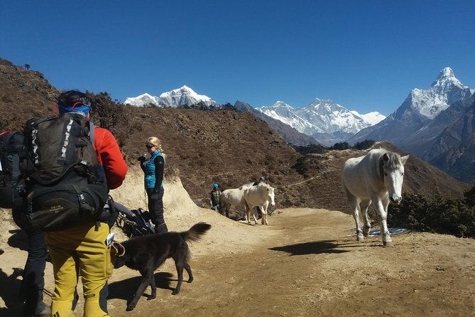 Everest Base Camp Trek - What Travelers Love About This Trek