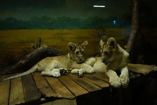 EVERLAND "From Hotel to Hotel" [Premium Private Tour: Only One Group for You] - Breaking Down the Itinerary: What to Expect