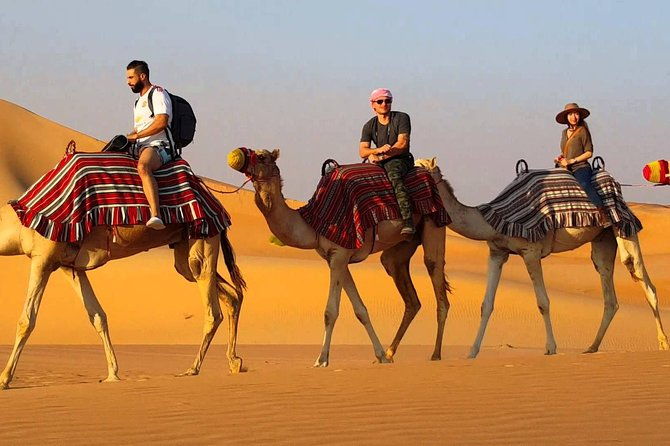 Exclusive 1-day Jaisalmer Tour with High End SUV. - What Makes this Tour Stand Out?