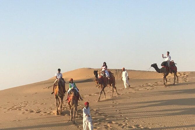 Exclusive Dinner & Camel Safari in Thar Desert (Private Tour) - Who Should Consider This Tour?