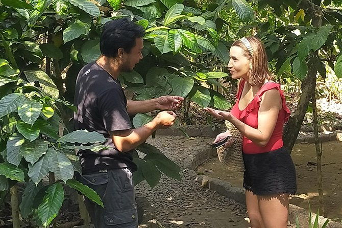 Exclusive Ubud Day Tour - Authenticity & Personalization: What Travelers Love