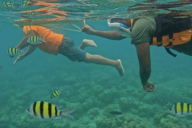 Experience Andamans® - 6 Days Andaman Tour Package with Havelock & Neil - Value for Money