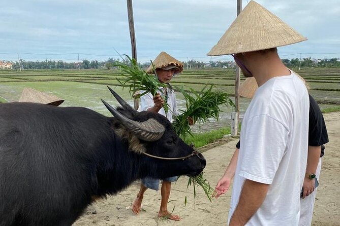 Experience Buffalo Ride and Farmer in Hoi An - Who Is This Tour Ideal For?