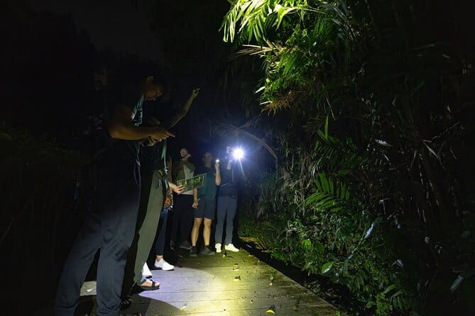 Explore a Rainforest teeming with Wildlife at Night! - Detailed Itinerary Breakdown