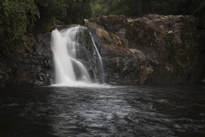 'Explore Sinharaja' rainforest - Discovery Tour (half day) - Final Thoughts: Who Should Book This Experience?