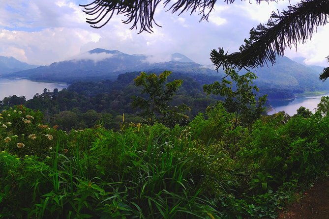 Explore Twin Lake Jungle Trekking and Canoeing - Final Thoughts: Why Choose This Tour?
