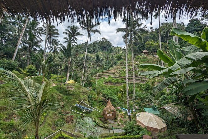 Explore Ubud Art Market, Monkey Forest and Rice Terraces - Who Is This Tour Best For?