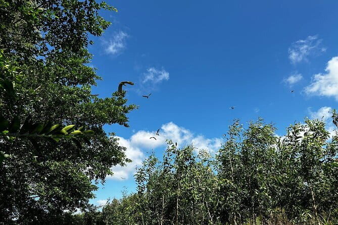 Explore Wetlands and Nature Reserve from Can Tho - Considerations for Travelers