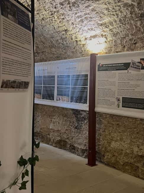 Exposition "Les forêts en souffrance" & Dégustation de vins - The Breakdown: What Makes Each Part Special