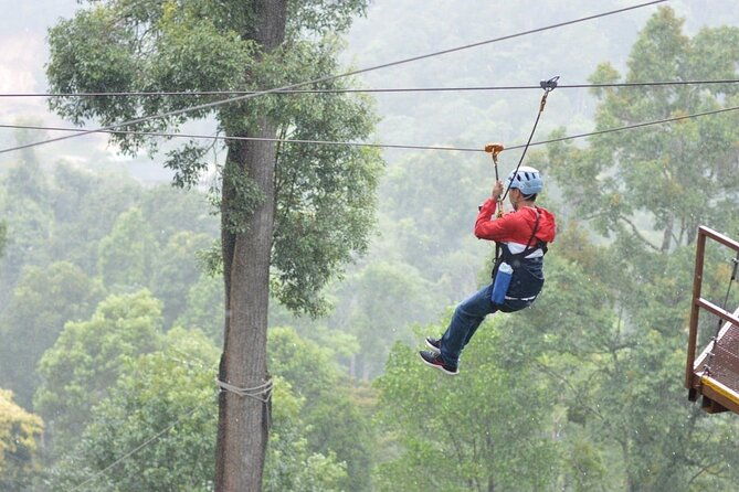 Extream Zipline @ Kingkong Smile and Dip in Hot Spring - Exploring the Experience in Detail