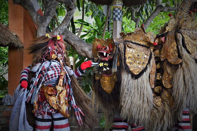 Famous Ubud villlage and Dance Tour with Rice Terrace And Waterfall Visit - What to Expect from the Itinerary