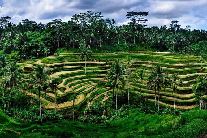 Fantastic Ubud Tour with Jungle Swing - Final Thoughts: Is It Worth It?
