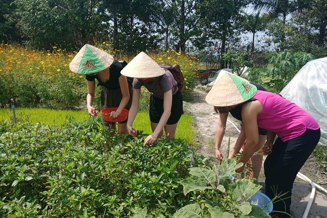 Farm-To-Table Healthy Cooking Class in Ho Chi Minh City - Authenticity and Quality: What Travelers Say