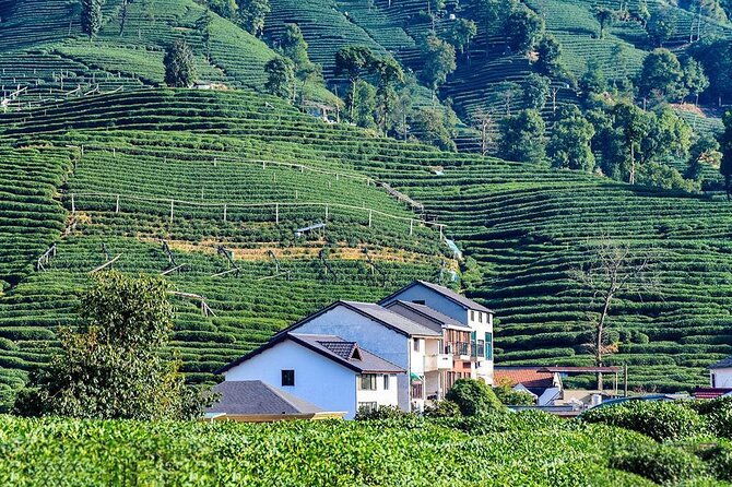 Flexible Hangzhou Private Tour from Shanghai by Bullet Train - Who Is This Tour Best For?