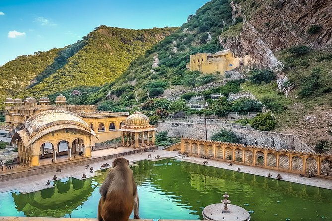Four days Golden Triangle Luxury Tour with Dinner to Agra and Jaipur from Delhi - Authentic Experiences and Hidden Gems from Reviews