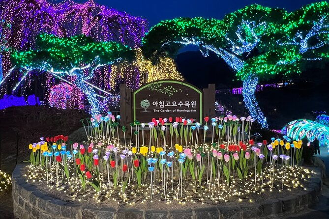 Four Seasons of Nami Island with Garden of Morning Calm Tour - What Does the Tour Really Offer?  