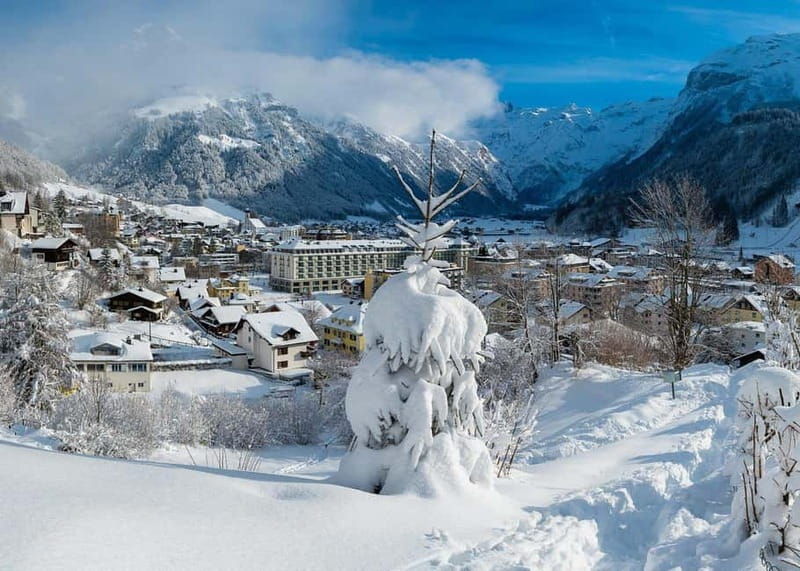 From Basel: Private Mt Titlis & Engelberg Day Trip w/ Cheese - Why This Tour Offers Great Value