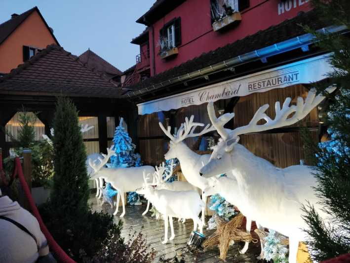 From Colmar: Christmas Markets Across 3 Borders - Transportation, Timing, and Group Size
