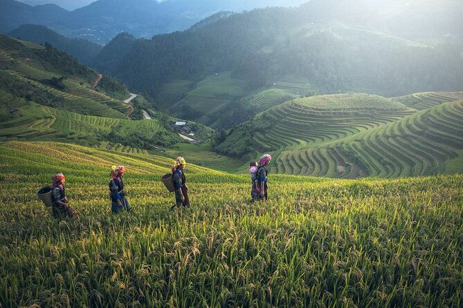 From Hanoi: 3 Days Sapa Trekking & Ethnic Villages by Dcar - Authentic Experiences: What Travelers Are Saying