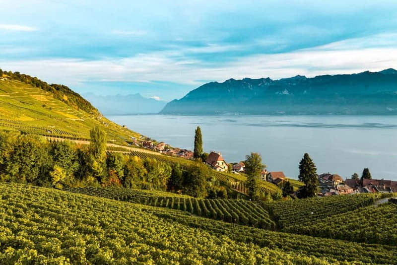 From Lausanne: Montreux, Chaplin, and Chillon Castle Tour - Who Is This Tour Best For?