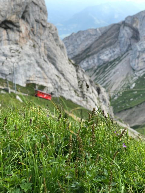 From Lucerne: Mt. Pilatus and Lake Lucerne Private Tour - What Makes This Tour Stand Out?