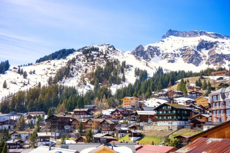From Lucerne: Private Day Tour to Interlaken and Grindelwald - The Practicalities: What You Need to Know