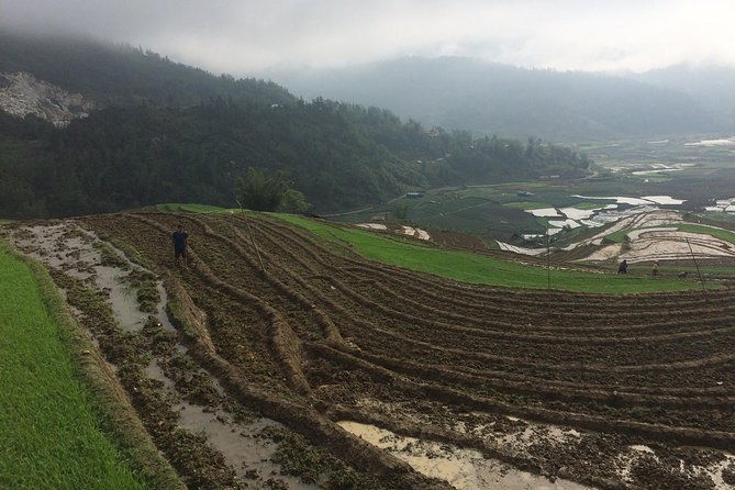From Sapa: 2 Day Tour Through Villages and Countryside - Day 1: Taking in Rice Fields and Village Life