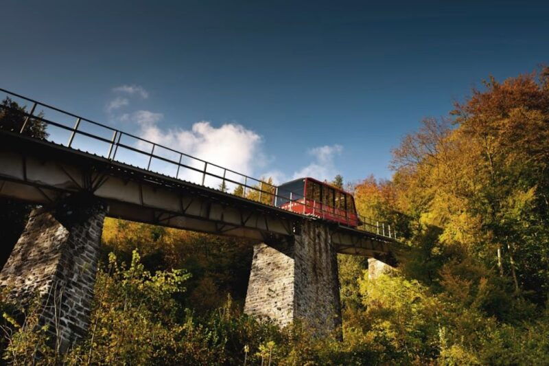 From Zurich: Interlaken Day Trip and Harder Kulm Viewpoint - What Reviewers Say