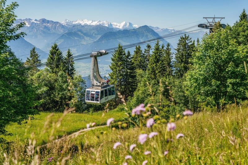 From Zurich: Mount Rigi and Lucerne Small-Group Day Trip - Detailed Itinerary and What to Expect