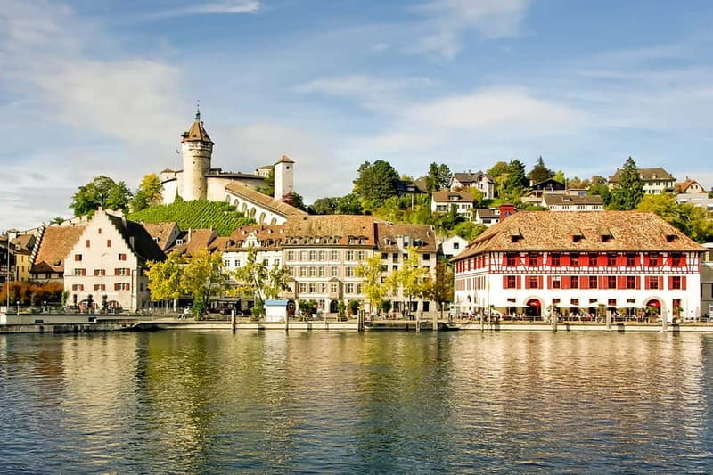 From Zurich: Rhine Falls Coach Tour - The Guides and Group Experience