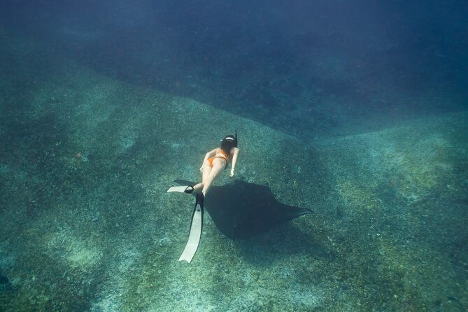 Full-Day Adventure Tour to komodo Island with join Speed Boat tur - Authentic Insights from Travelers