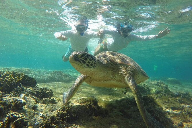 Full Day Apo Island Tour from Dumaguete - What Makes This Experience Stand Out?