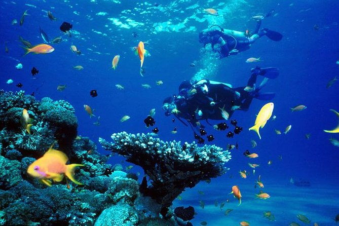 Full-Day Beginner Scuba Course with Private Tuition, Racha Yai - What’s Included and What’s Not?