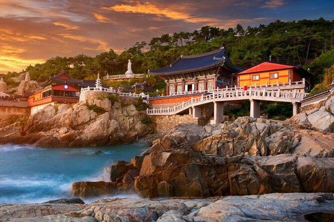 Full-Day Busan Highlights Private Guided Tour - Who Should Consider This Tour?