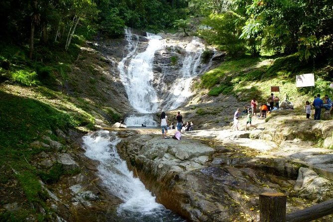 Full-day Cameron Highlands Day Trip from Kuala Lumpur - Who Should Consider This Tour?