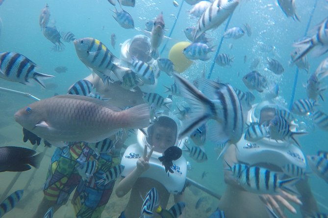 Full-day Cham Islands Cruise from Hoi An with Underwater Walking Excursion - The Experience from the Reviews