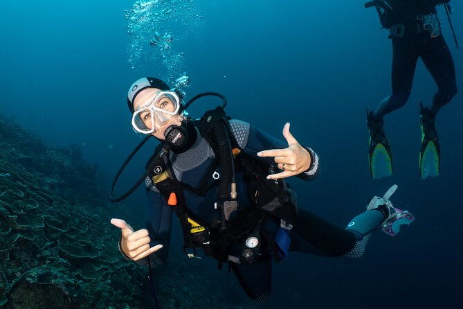 Full-Day Discover Scuba Diving Tour for Beginners in Tulamben - The Itinerary: What to Expect