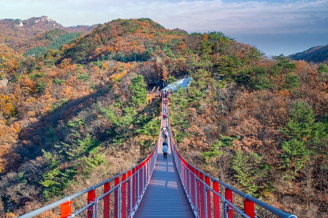 Full Day DMZ with Red Suspension Bridge Tour from Seoul - Practical Details and What to Expect