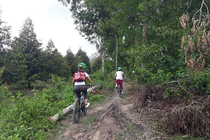Full Day Experience Mekong Delta By Bike, Boat and Kayak. - The Itinerary in Detail