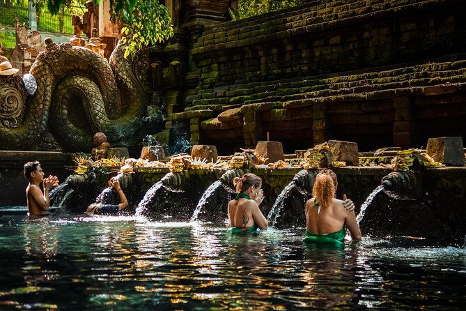 Full-Day Highlights and Best of Ubud Village - A Detailed Look at the Itinerary
