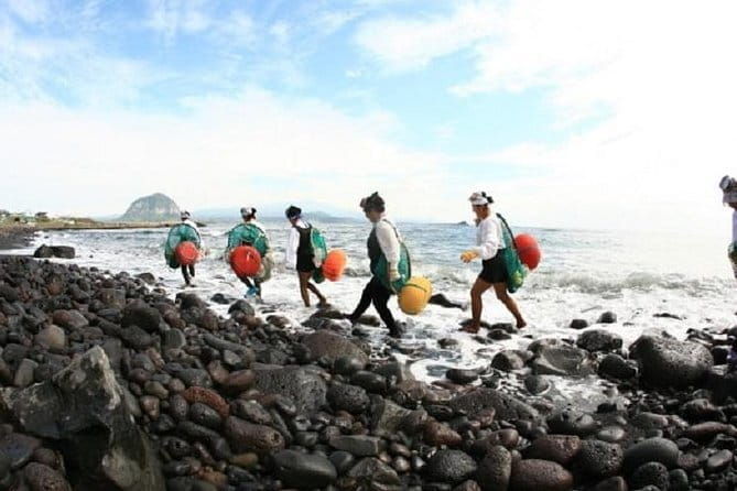Full Day Jeju Private Customizable highlight Tour - In-Depth Look at the Itinerary