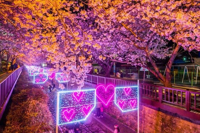 Full-Day Jinhae Cherry Blossom festival Private tour - What Travelers Say About This Tour