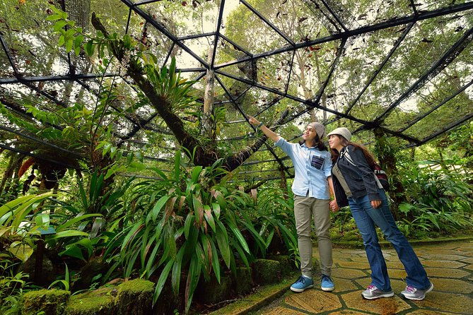 Full-Day Kinabalu Park and Poring Hot Spring Day Trip - Poring Hot Springs: Relaxation and Adventure