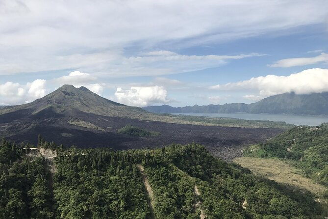 Full Day Kintamani Volcano View and Ubud Village Tour - Who Would Love This Tour?