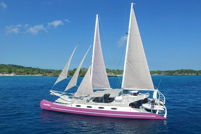 Full day Lembongan Island Catamaran Cruise with BBQ Lunch - The Itinerary in Detail: What to Expect